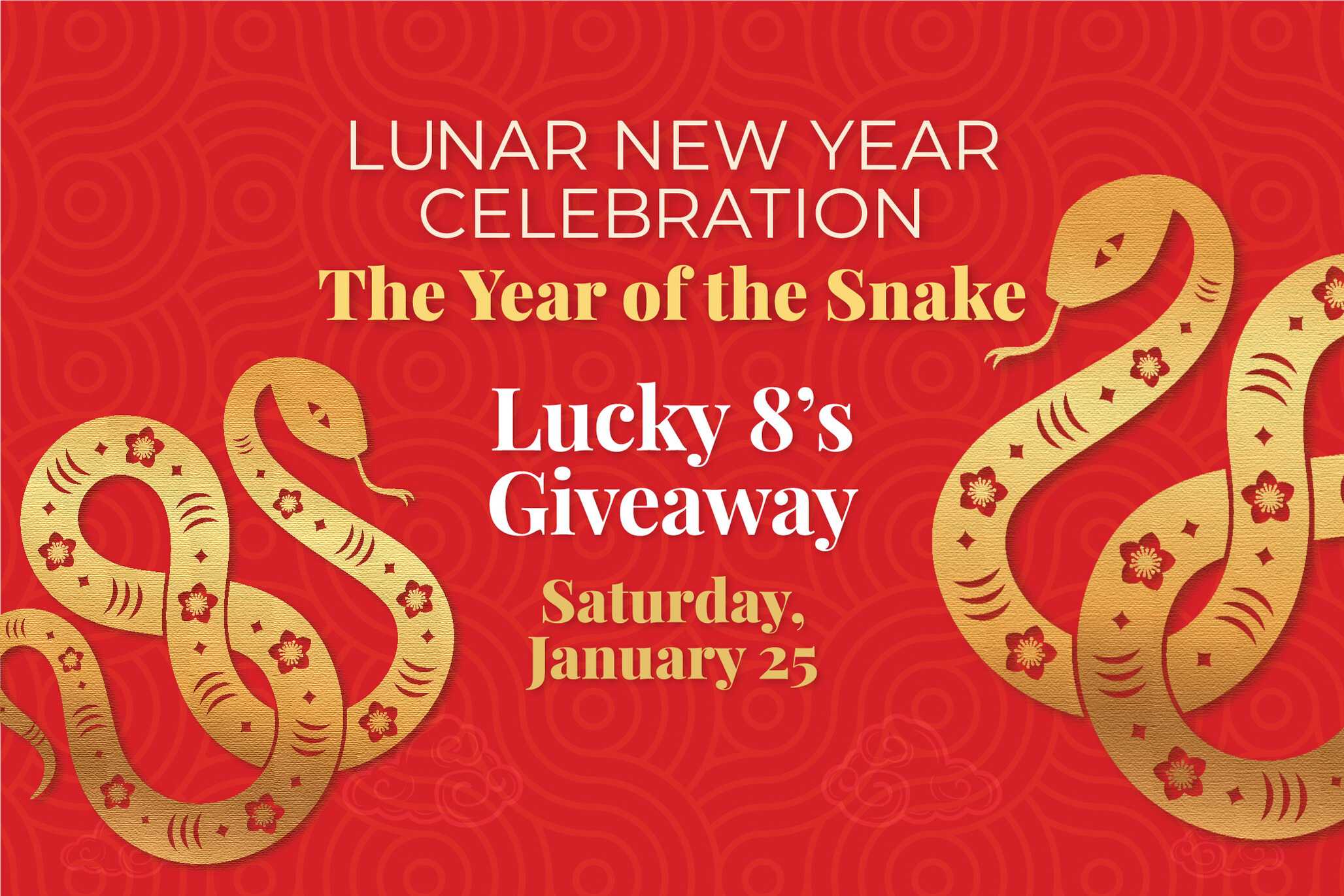 Lunar New Year Celebration The Year of the Snake